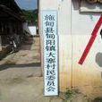大寨村(雲南省保山市施甸縣甸陽鎮大寨村)