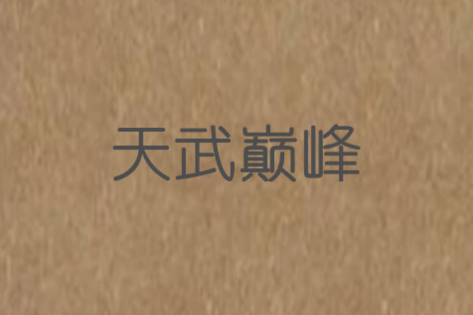 天武巔峰 天武巔峰