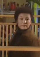 美麗心靈(2003年宋春麗、李貞賢主演電視劇)