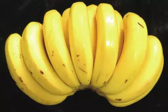 中蕉4號 中蕉4號