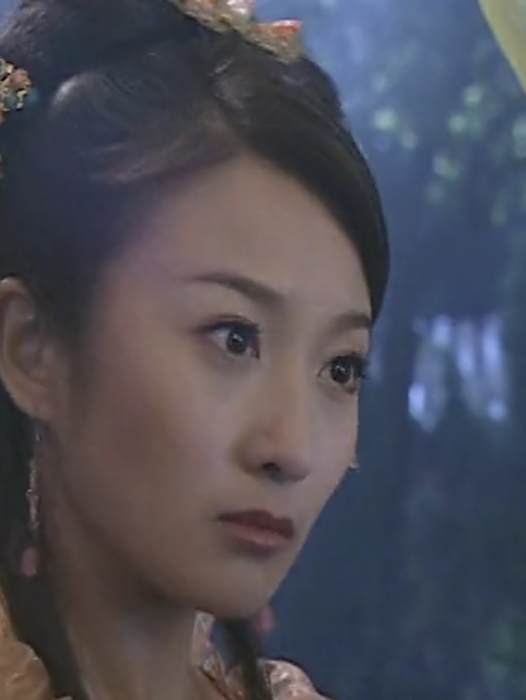 容妃(2009年電視劇《賴布衣傳奇》 中的角色) 容妃(2009年電視劇《賴布衣傳奇》 中的角色)