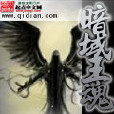 暗域王魂 暗域王魂
