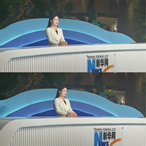 劉夢娜