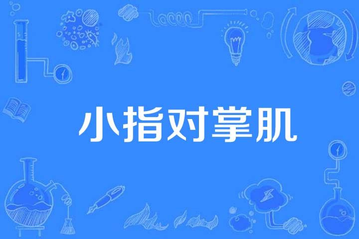 小指對掌肌 小指對掌肌