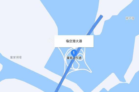 臨空港大道 臨空港大道