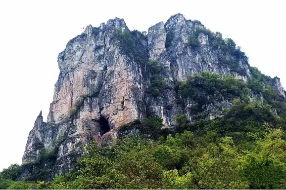 蜂籠寨 蜂籠寨