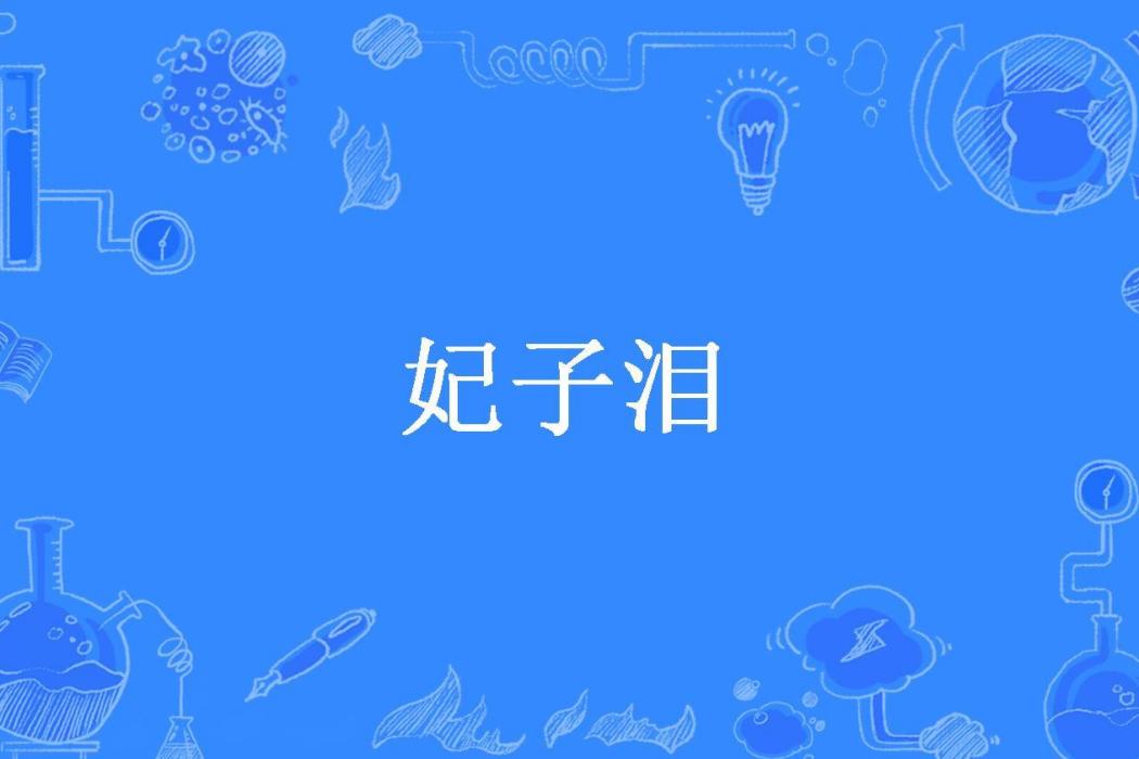 妃子淚(史海興所著小說) 妃子淚(史海興所著小說)