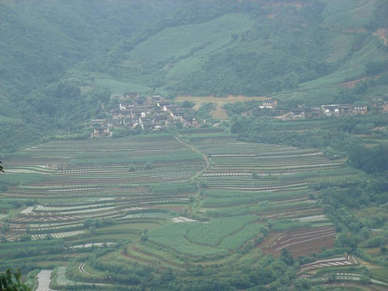 尾龍底村 尾龍底村