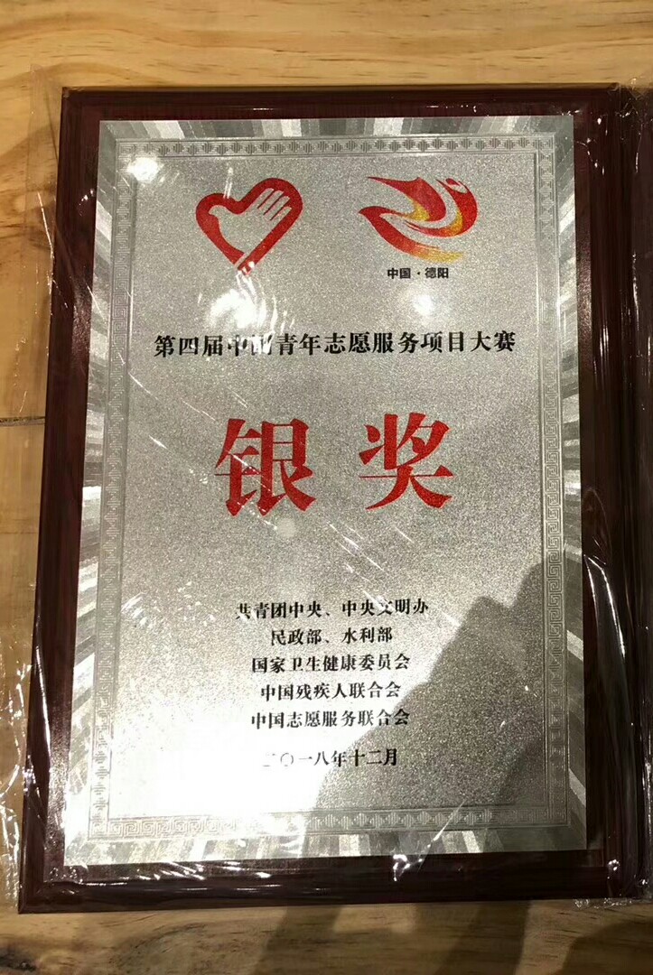 中國青年志願服務項目大賽銀獎