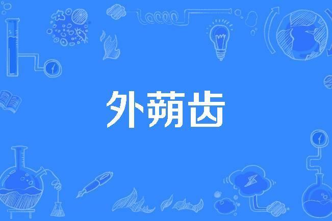 外蒴齒 外蒴齒