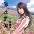 你還是你(小說) 你還是你(小說)