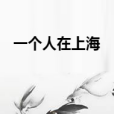 一個人在上海 一個人在上海
