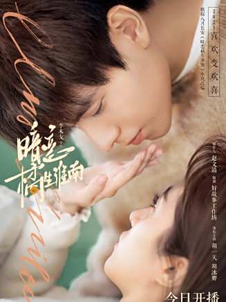 王馳(演員)