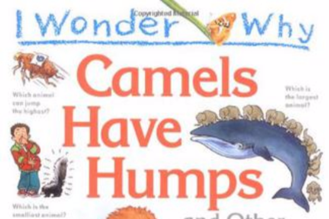 Camels駱駝 Camels駱駝