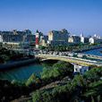 中小城市 中小城市