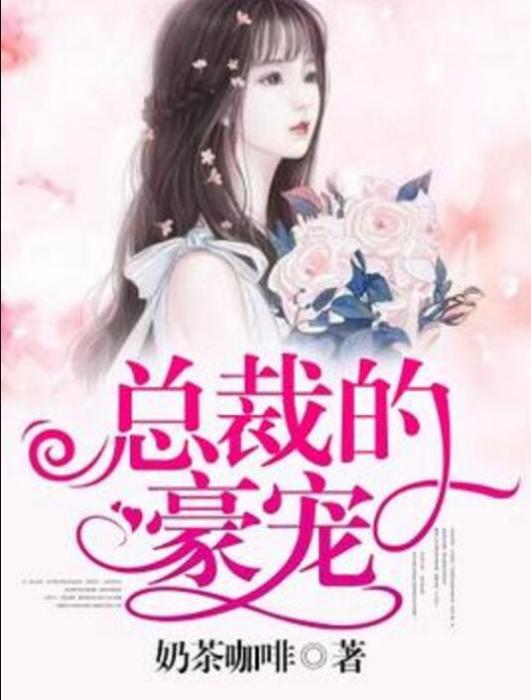 總裁的豪寵