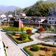 柏坑村 柏坑村