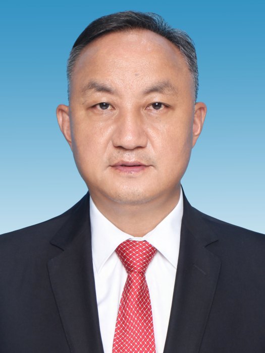 李力(雲南省公安廳黨委委員、副廳長) 李力(雲南省公安廳黨委委員、副廳長)