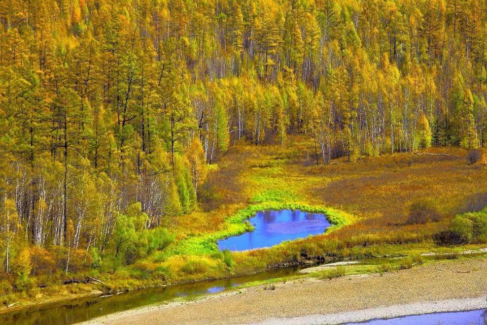 內蒙古伊克薩瑪國家森林公園