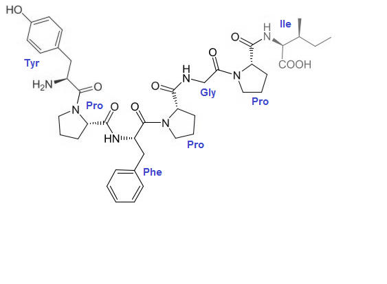 β-酪啡肽-7