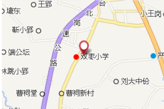 雙棗樹 雙棗樹