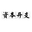 資本開支 資本開支