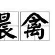 晨禽 晨禽