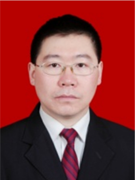 王有元(重慶大學電氣工程學院博士生導師) 王有元(重慶大學電氣工程學院博士生導師)