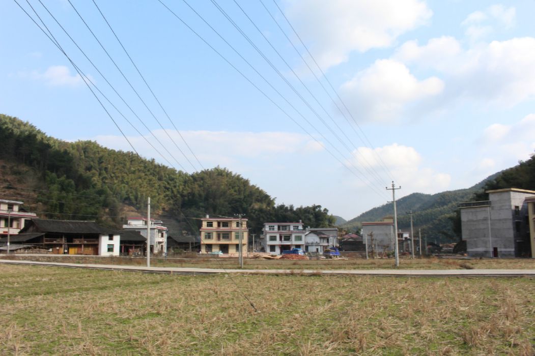 泡桐村 泡桐村