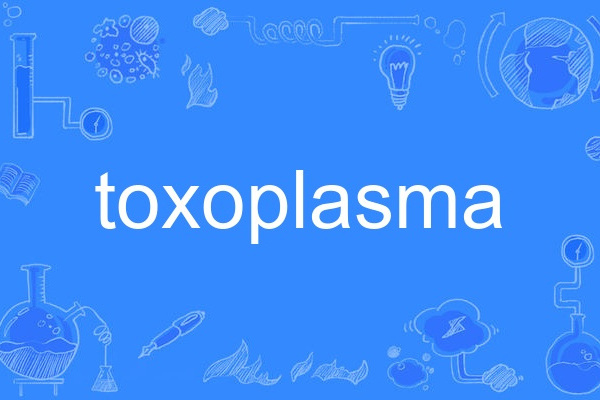 toxoplasma toxoplasma