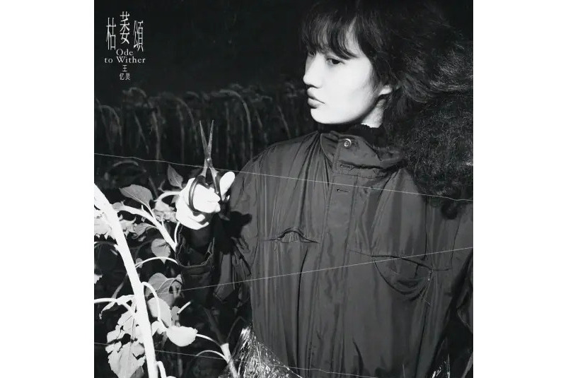 士兵(2024年王憶靈演唱的歌曲) 士兵(2024年王憶靈演唱的歌曲)