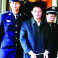 刑事公訴權 刑事公訴權