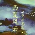 西夏風雲 西夏風雲