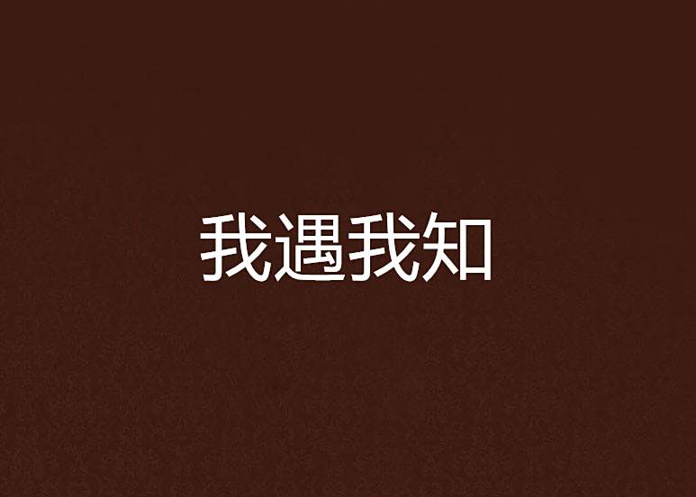 我遇我知