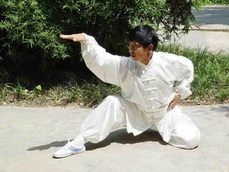 毒蛇吐信拳 毒蛇吐信拳