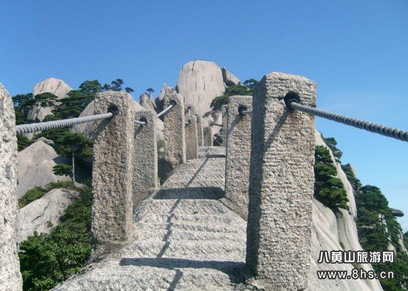 仙人鋪路 仙人鋪路