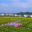 三合村(雲南晉寧縣新街鄉下轄村)