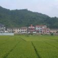湄池村
