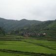 鄧家沖村(雲南省楚雄州牟定縣蟠貓鄉下轄沖村) 鄧家沖村(雲南省楚雄州牟定縣蟠貓鄉下轄沖村)