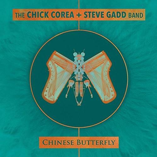 Chinese Butterfly Chinese Butterfly