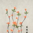 葉脈花 葉脈花