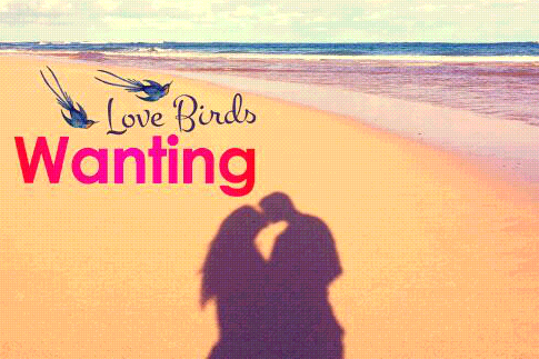 Love Birds Love Birds