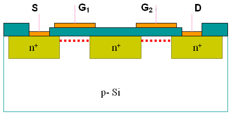 雙柵MOSFET的結構示意圖
