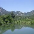 胥家村(平度市大田鎮) 胥家村(平度市大田鎮)