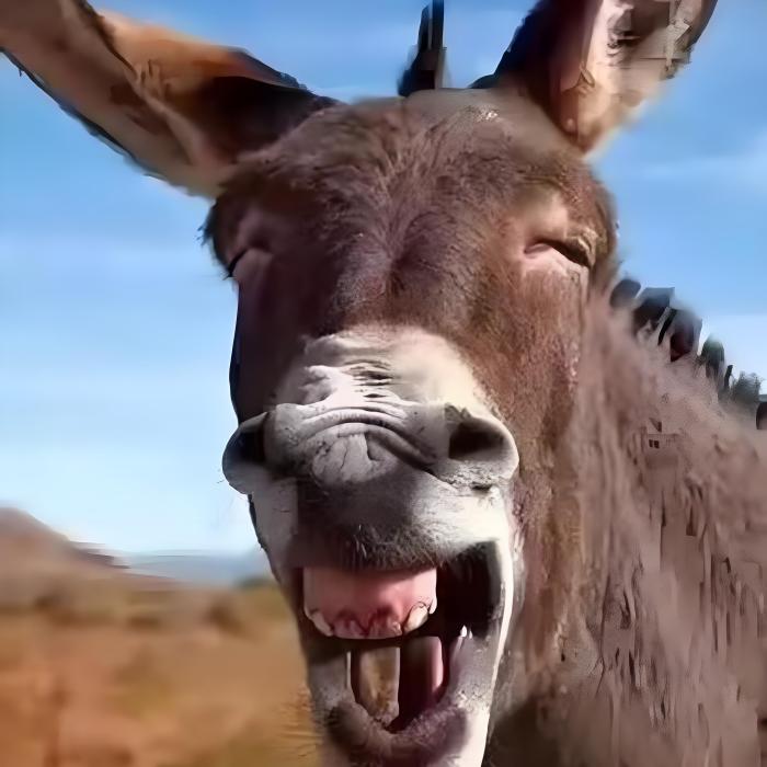 阿翔配音 阿翔配音
