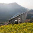 樂巴鐵路 樂巴鐵路