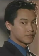 縱橫四海(1999年王晶指導的電視劇)