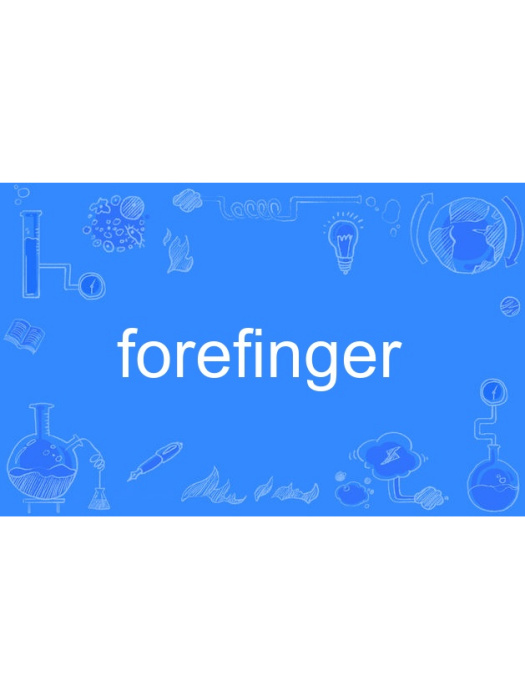 forefinger forefinger