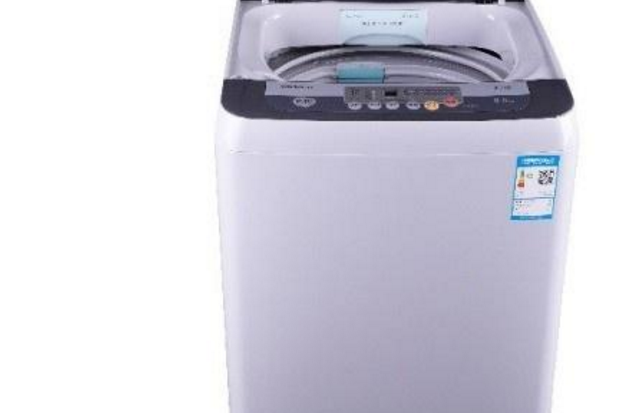 金松XQB80-G8280 金松XQB80-G8280