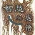 智慧的感悟